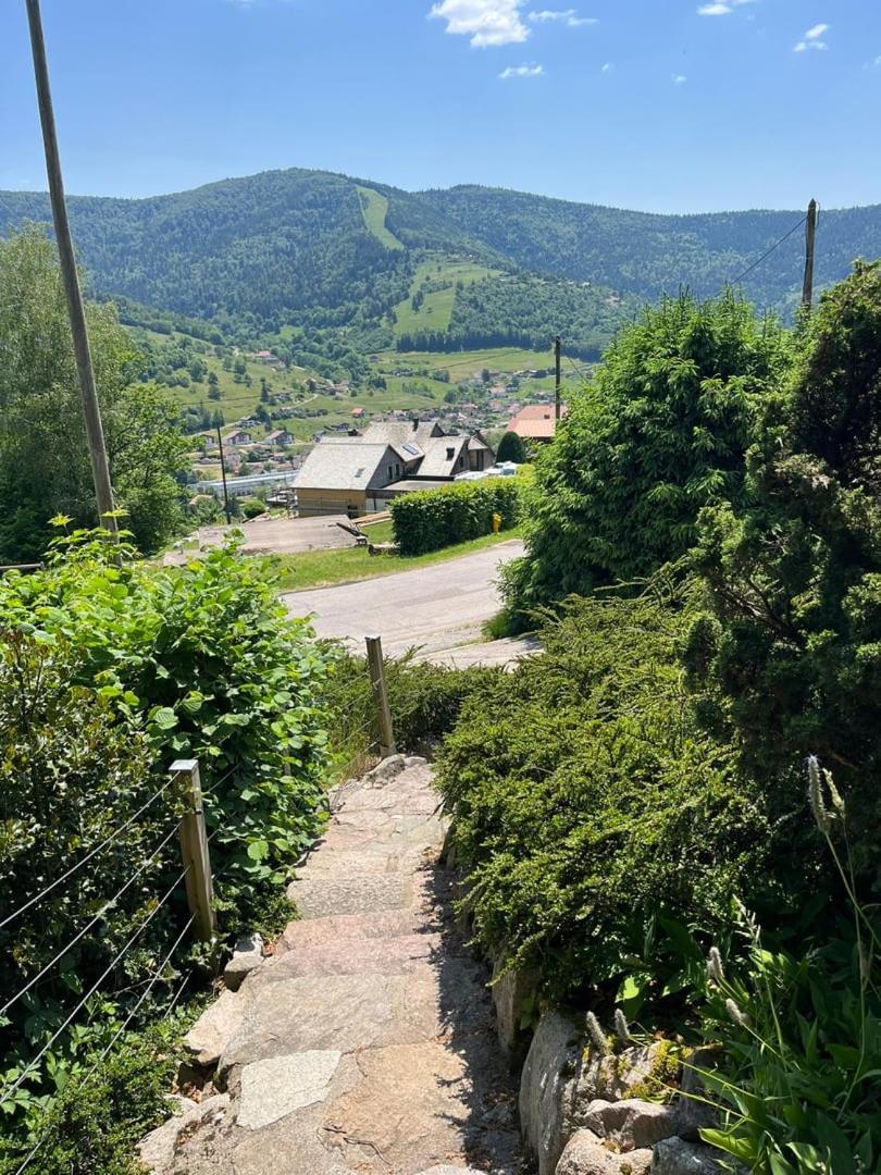 Chalet Bois Vue Panoramique : 2 Logements Et Sauna Bussang Esterno foto