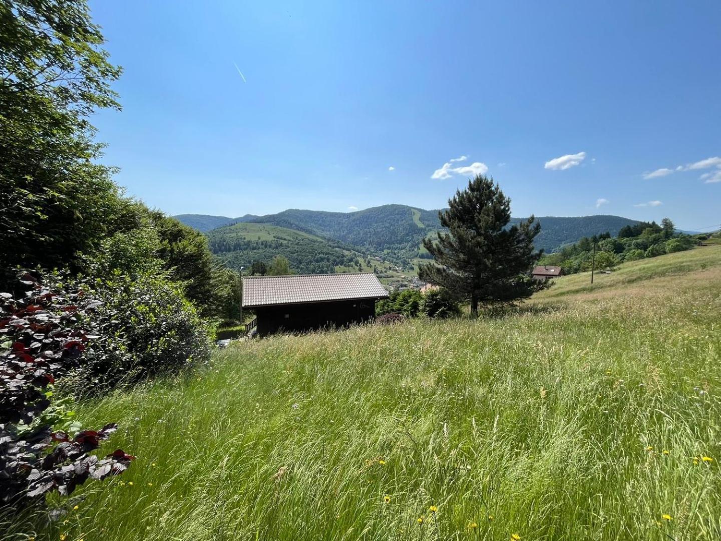 Chalet Bois Vue Panoramique : 2 Logements Et Sauna Bussang Esterno foto